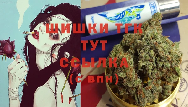apvp Аркадак